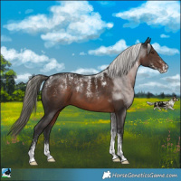 Horse Color:Powder White Liver Chestnut Mushroom Sabino 
