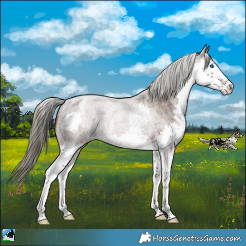 Horse Color:Powder White Liver Red Roan Mushroom Splash 