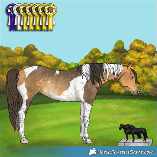 Horse Color:Buckskin Tobiano Rabicano 