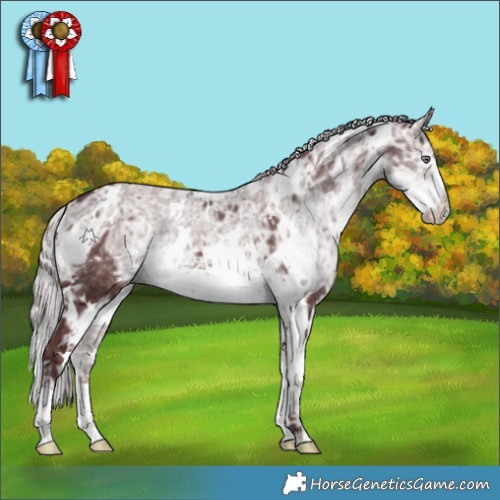 Horse Color:White Spotted Chocolate Silver Smoky Black Chinchilla Ice 