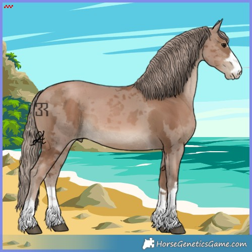 Horse Color:Black Pearl Merle 