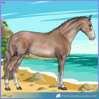 Horse Color:Black Pearl Merle