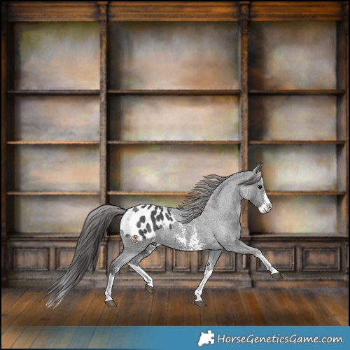 Horse Color:Black Sabino Splash Blanket