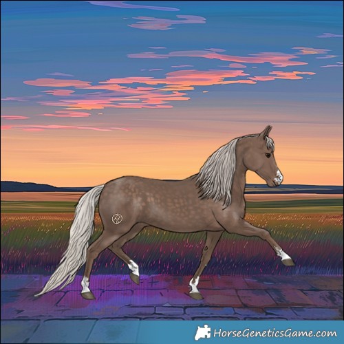 Horse Color:Silver Black 