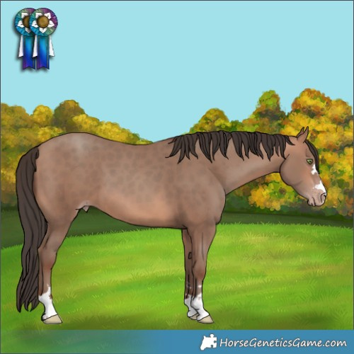Horse Color:Sable Champagne 