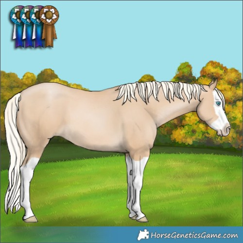 Horse Color:Palomino Pearl Splash 