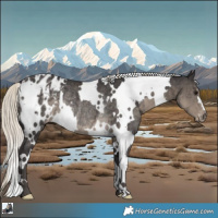 Horse Color:White Spotted Silver Smoky Black Varnish Rabicano