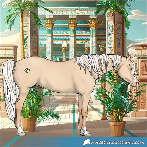 Horse Color:Silver Amber Champagne Dun 
