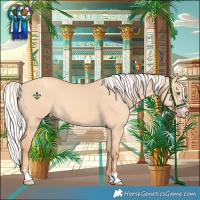 Horse Color:Silver Amber Champagne Dun 
