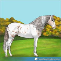 Horse Color:Bay Splash Tobiano Frame Blanket 