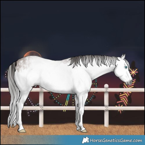Horse Color:Gray Bay Sabino Splash 