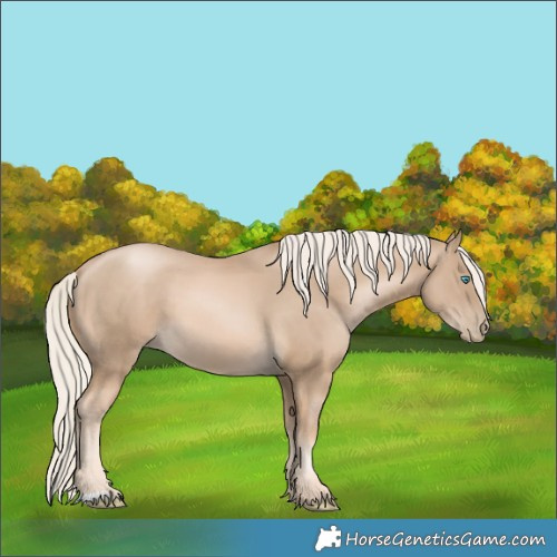 Horse Color:Chocolate Palomino Pearl
