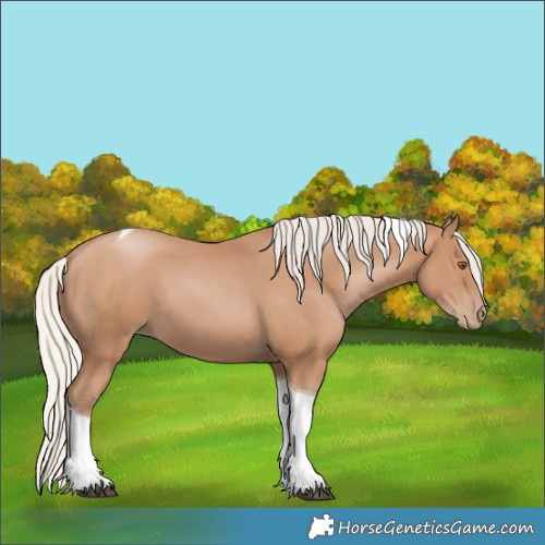 Horse Color:Silver Black Pearl Tobiano 