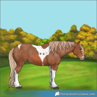 Horse Color:Chestnut Tobiano Varnish 