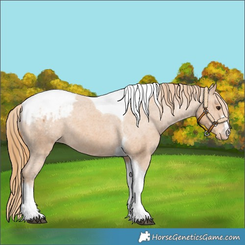 Horse Color:Chestnut Tobiano Snowcap 