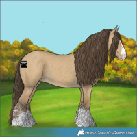 Horse Color:Classic Cream Champagne Dun 
