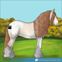 Horse Color:White Spotted Gold Champagne Dun Blanket 