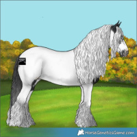 Horse Color:Black Tobiano Frame Rabicano