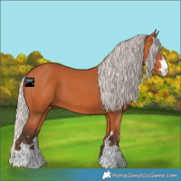 Horse Color:Silver Bay