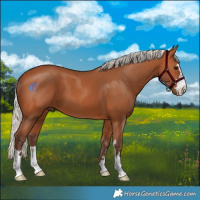 Horse Color:Silver Bay 