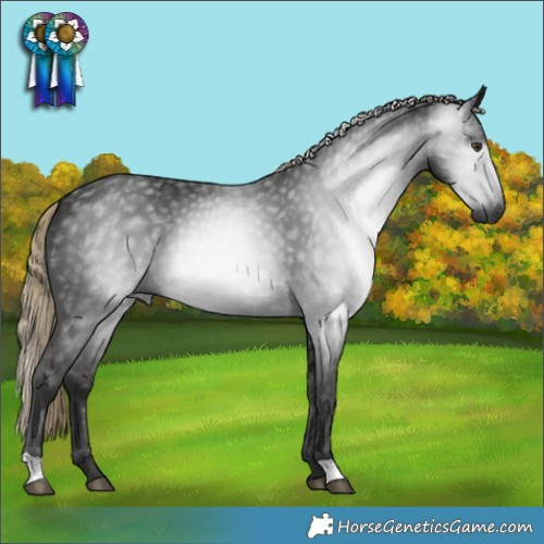 Horse Color:Gray Liver Chestnut 