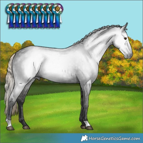 Horse Color:Gray Liver Chestnut 