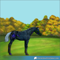 Horse Color:ERROR: UNKNOWN ANOMALY