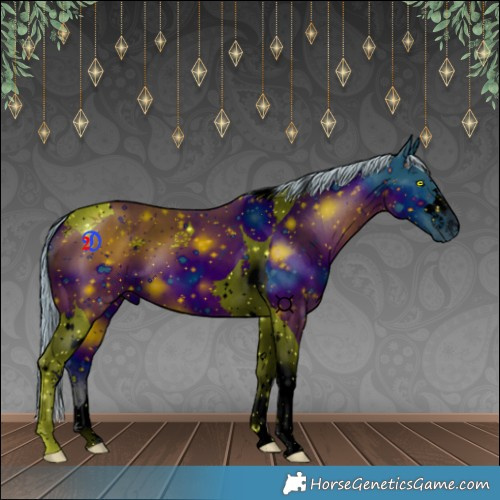 Horse Color:ERROR: UNKNOWN ANOMALY