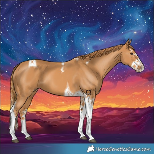 Horse Color:Chestnut Splash Tobiano 