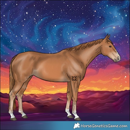 Horse Color:Chestnut 