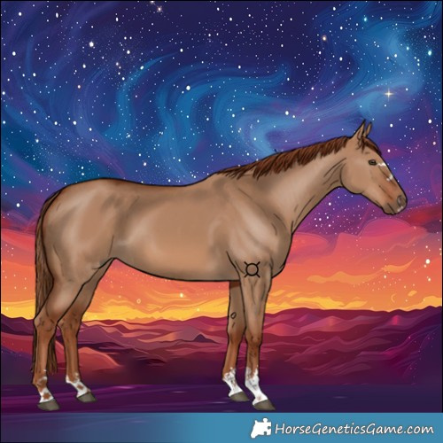 Horse Color:Red Dun 