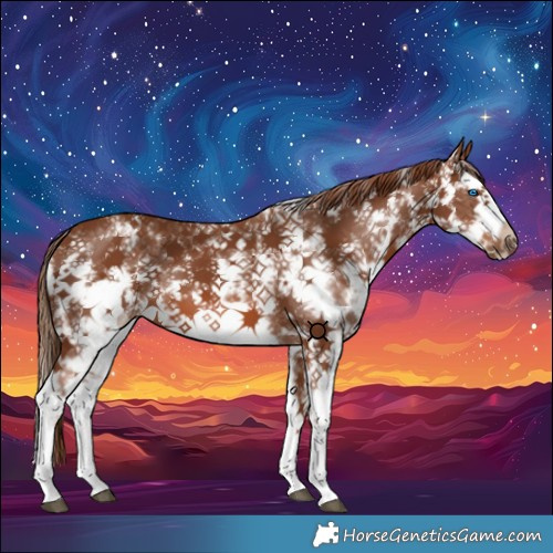 Horse Color:Chestnut Sabino Splash Frame