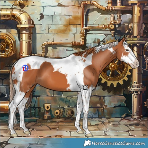 Horse Color:Chestnut Splash Tobiano 