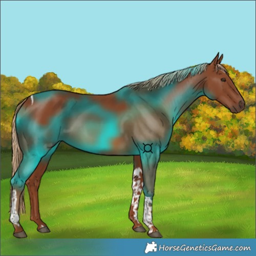 Horse Color:Chestnut Tobiano 