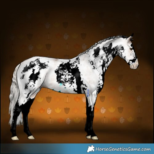 Horse Color:White Spotted Silver Brown Dun 