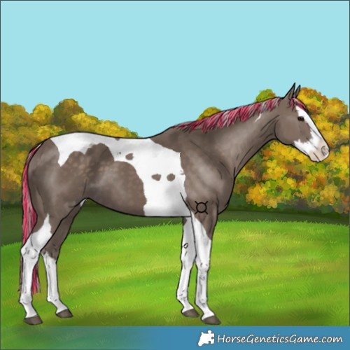 Horse Color:Painted Silver Black Splash Tobiano 