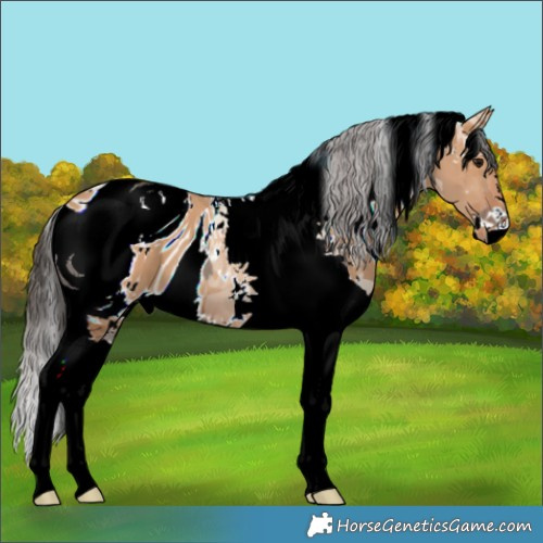 Horse Color:ERROR: UNKNOWN ANOMALY