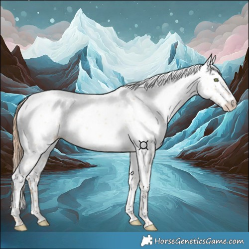 Horse Color:White Spotted Gold Champagne Dun