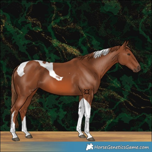 Horse Color:Chestnut Tobiano 