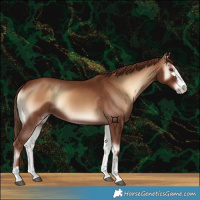 Horse Color:Red Onyx