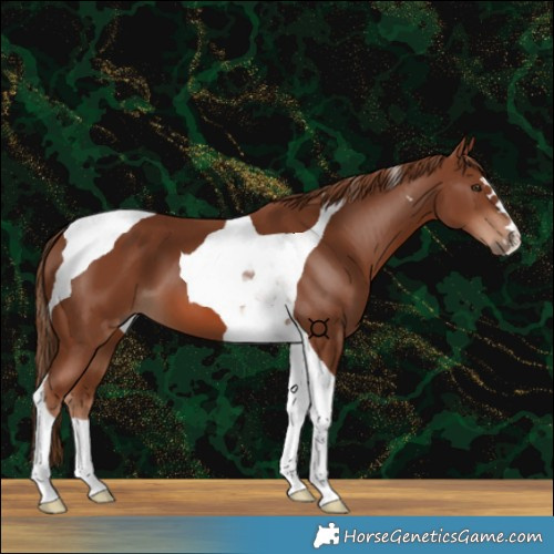 Horse Color:Chestnut Tobiano 