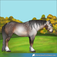 Horse Color:Gray Liver Chestnut Tobiano 