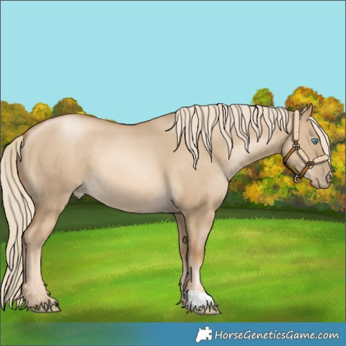 Horse Color:Chocolate Palomino Pearl Dun
