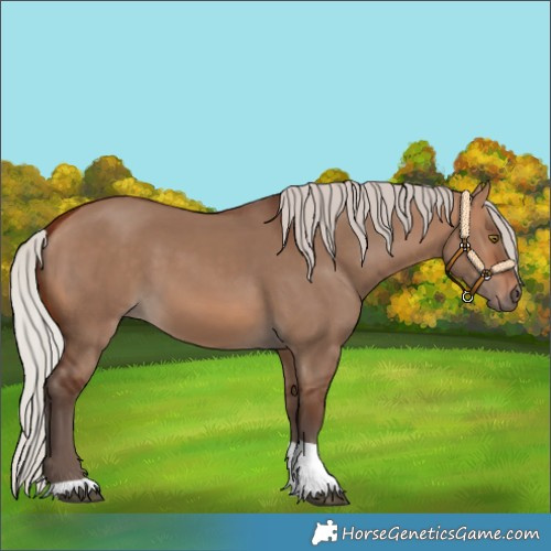 Horse Color:Silver Bay Dun Tobiano 