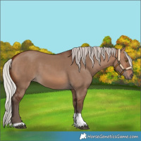 Horse Color:Silver Bay Dun Tobiano 