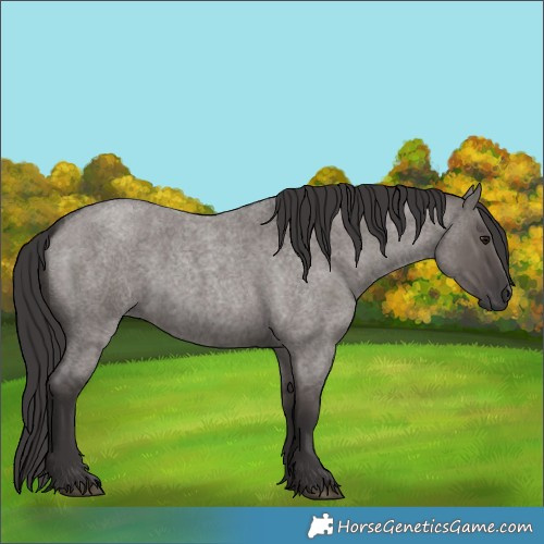 Horse Color:Smoky Grullo Roan 