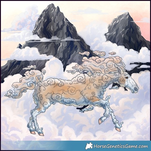 Horse Color:Chestnut Splash 