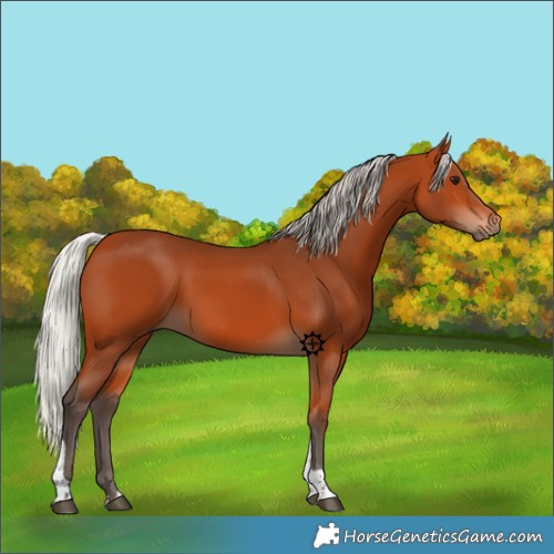 Horse Color:Silver Bay Tobiano 