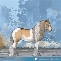 Horse Color:Gray Chocolate Palomino Dun Tobiano 
