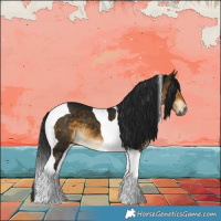 Horse Color:Gray Buckskin Tobiano